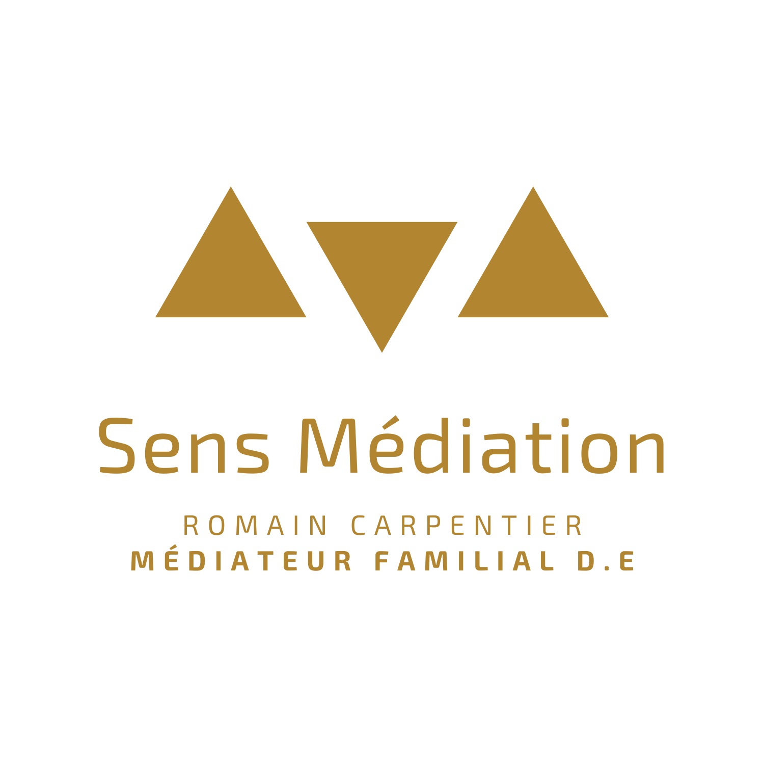 logo sens médiation.jpg